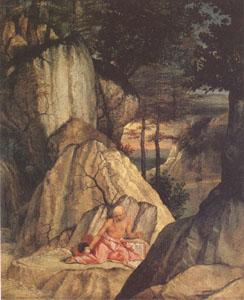 Lorenzo Lotto Jerome in the Desert (mk05) Germany oil painting art